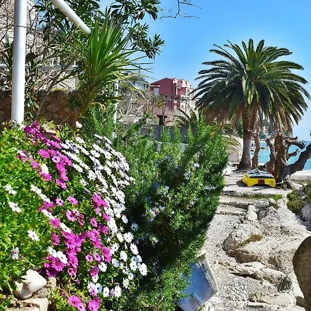 Kovacic Omiš
